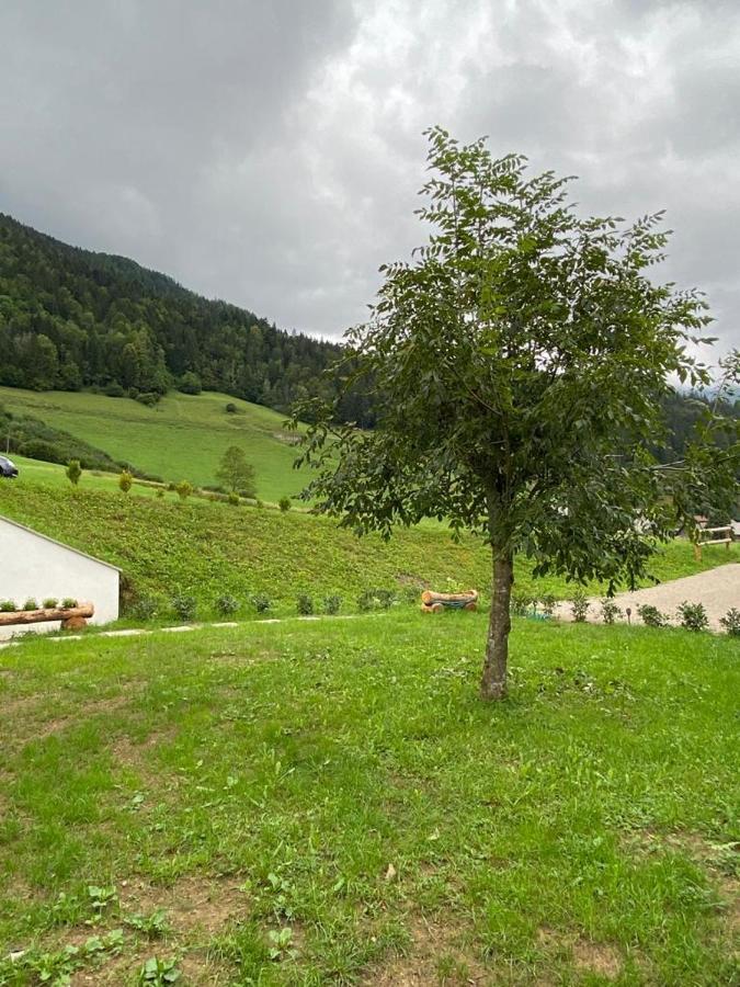 Apartma Lupis Podvolovljek Zewnętrze zdjęcie